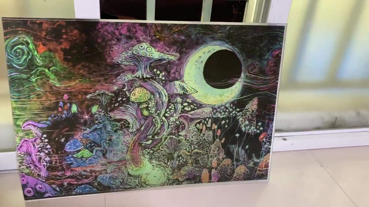 Magic Mushrooms - Ảnh 2