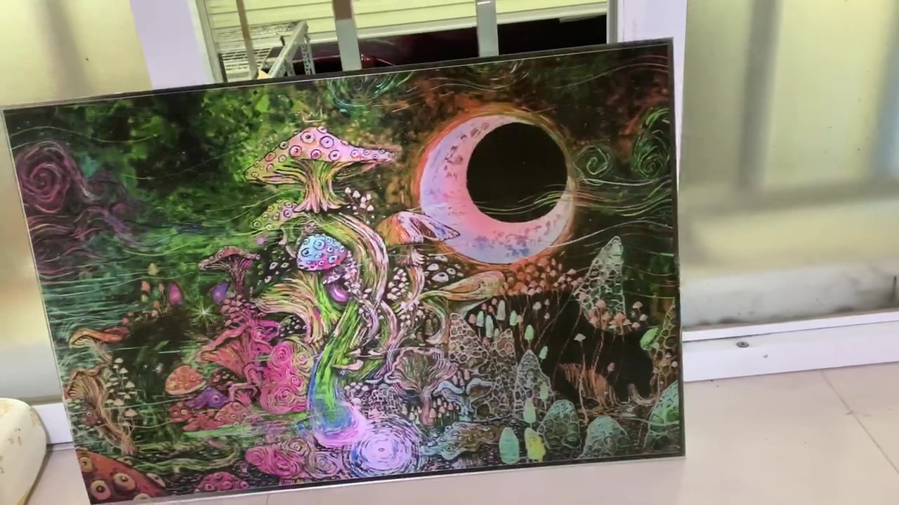 Magic Mushrooms - Ảnh 4