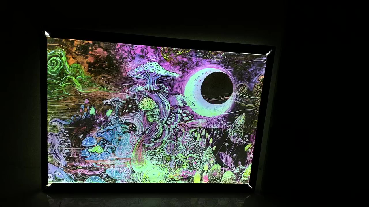 Magic Mushrooms - Ảnh 5