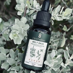 Chiết Xuất Hương Nhu Spagyric Tincture (Holy Basil - Ocimum sanctum)