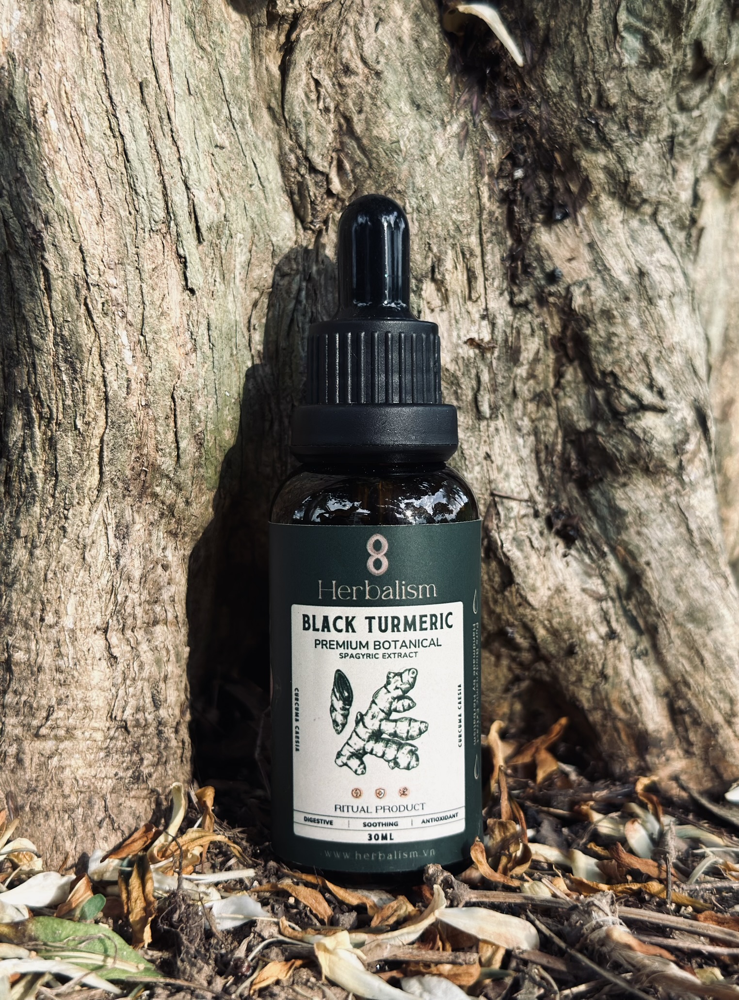 Chiết Xuất Nghệ Đen Spagyric Tincture (Curcuma caesia)