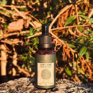 Chiết Xuất Bờm Sư Tử Spagyric Tincture (Hericium erinaceus)