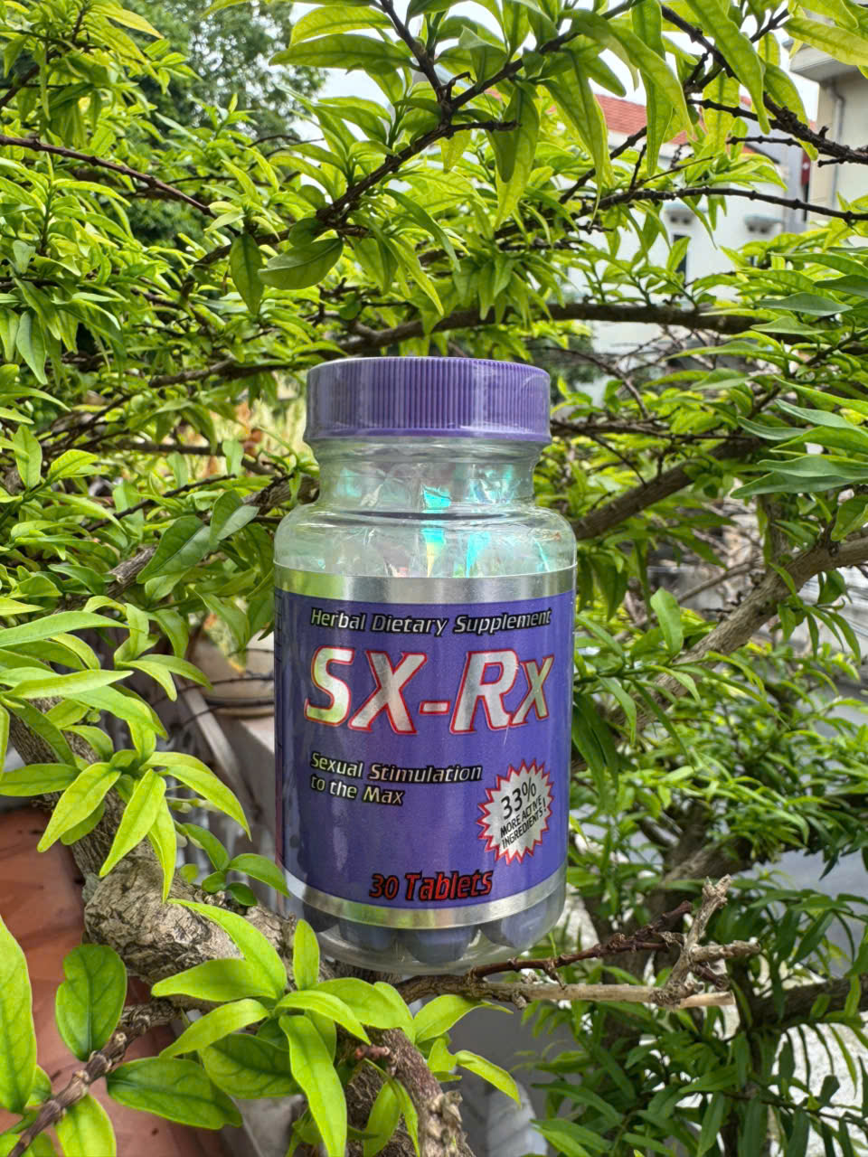 SX-RX ( Libido dành cho Nam )