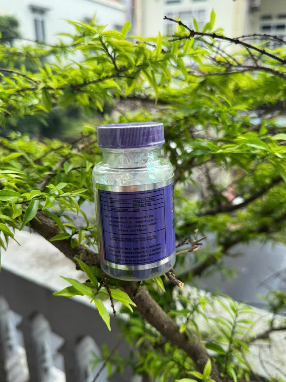 SX-RX ( Libido dành cho Nam ) - Ảnh 3