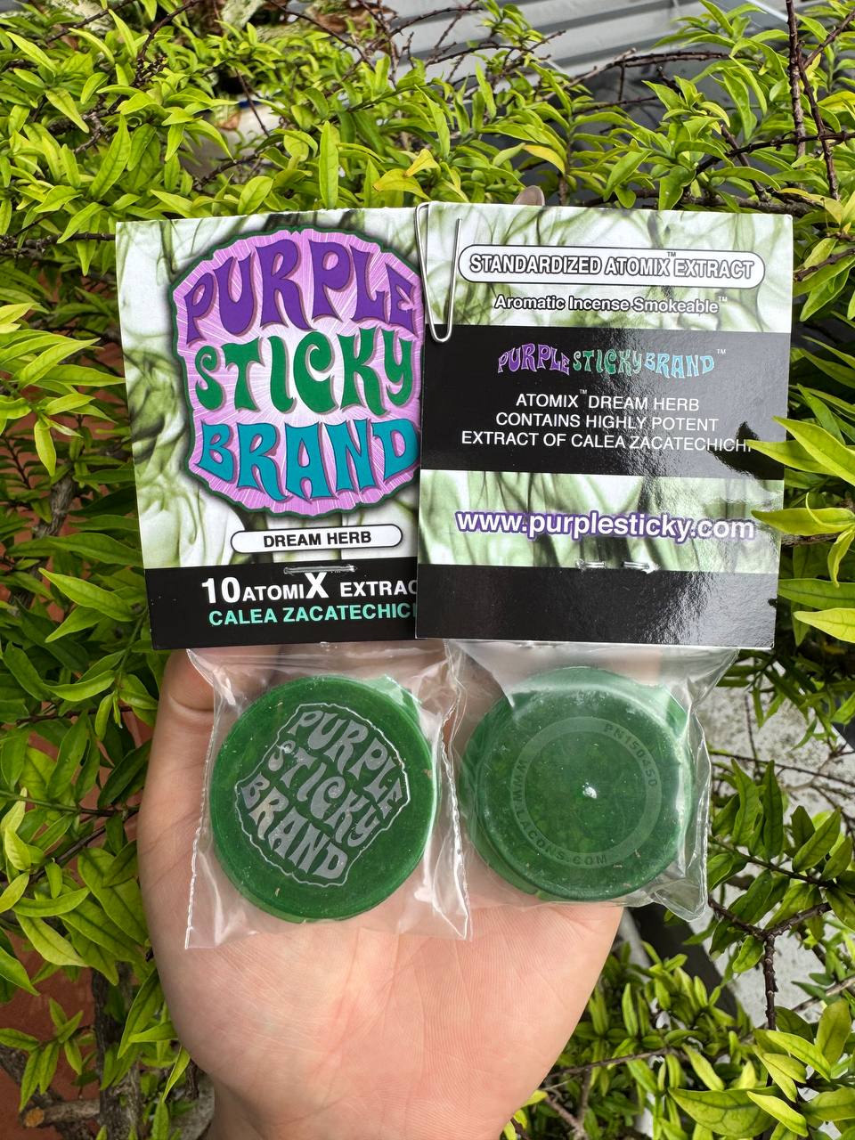 Calea Zatechichi Extract – "Dream Herb" Hỗ Trợ Giấc Ngủ Sâu, Thư Giãn & Tăng Cường Trải Nghiệm Giấc Mơ - Ảnh 2
