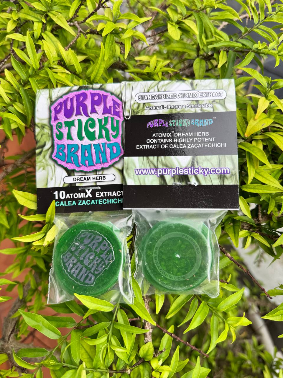 Calea Zatechichi Extract – "Dream Herb" Hỗ Trợ Giấc Ngủ Sâu, Thư Giãn & Tăng Cường Trải Nghiệm Giấc Mơ