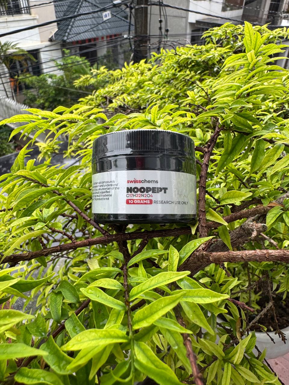 Noopept (Omberacetam) – Powder, 10 grams - Ảnh 2