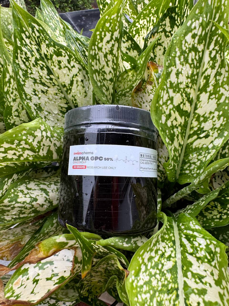 Alpha GPC (50%) – Powder, 50 grams - Ảnh 2
